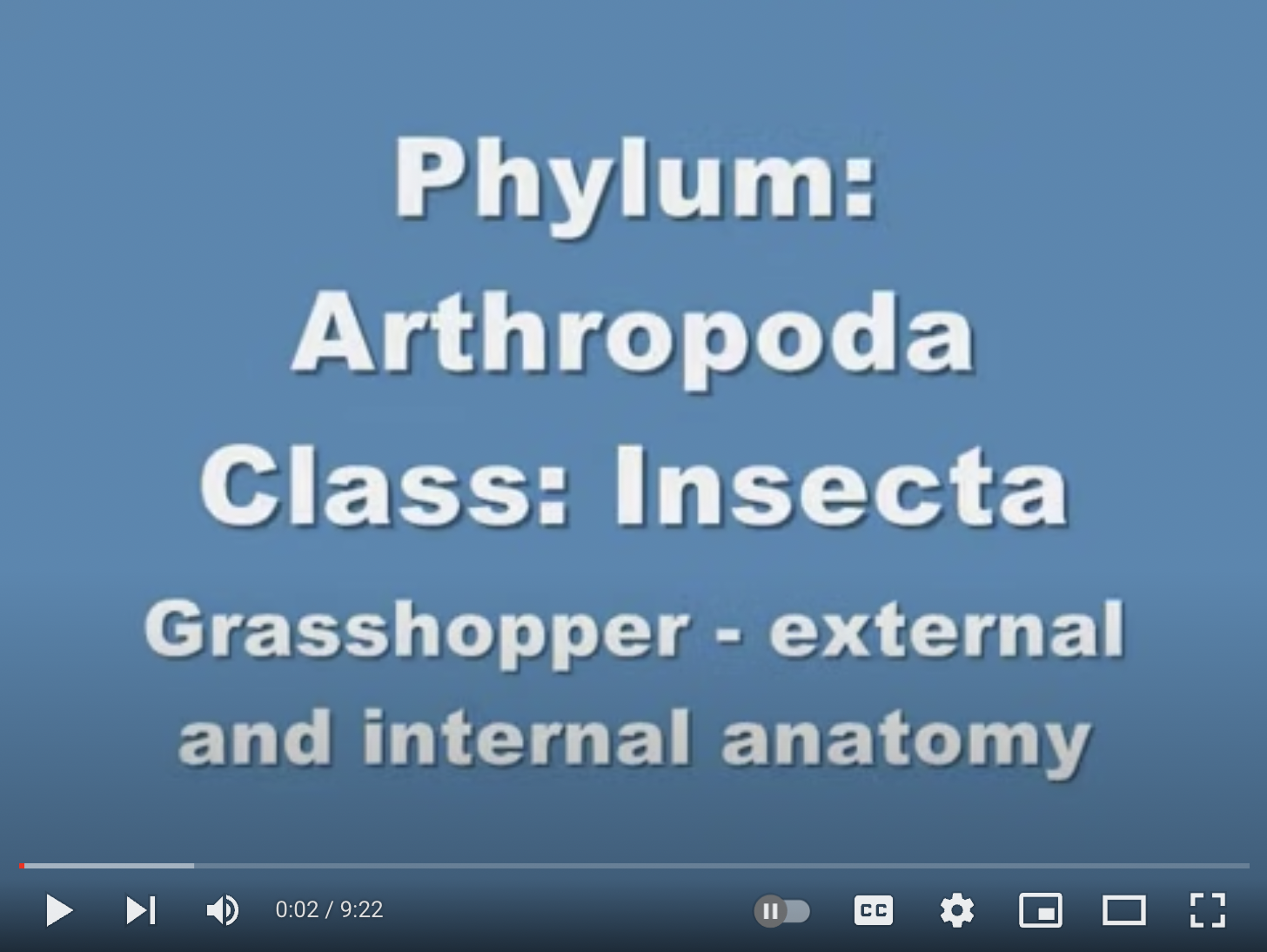 Grasshopper Dissection Video: Part 1