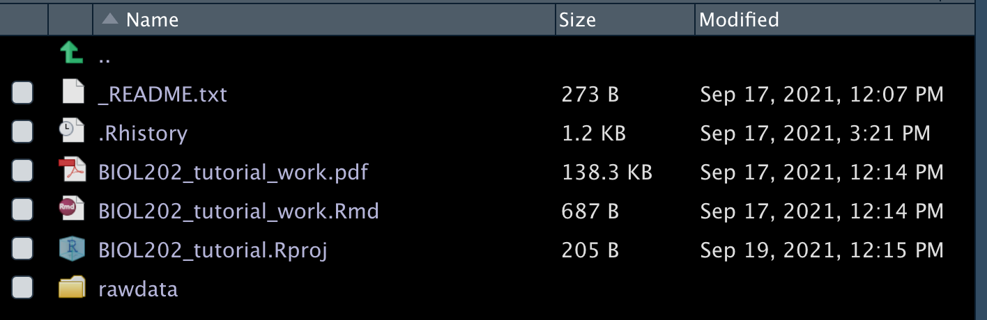 View of files with rawdata folder